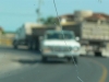 p1000841