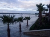 dsc00483-0006