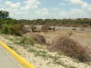 floodmty-011-0007