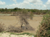floodmty-013-0009