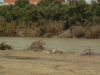 floodmty-015-0011