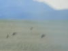 colorado_sc-070