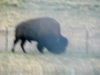 colorado_sc-071