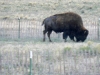colorado_sc-072