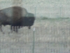 colorado_sc-074