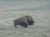 colorado_sc-076
