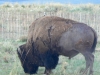 colorado_sc-077