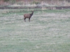 colorado_sc-081