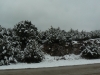 para-monica-008