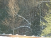 snownortheastjanuaryxmas-111